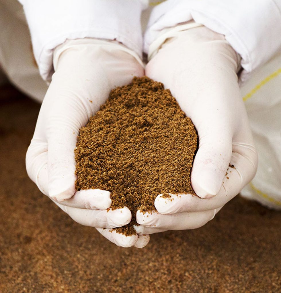 Several studies have shown that insect-based ingredients could provide as good a protein source as fish meal and soya alternatives.